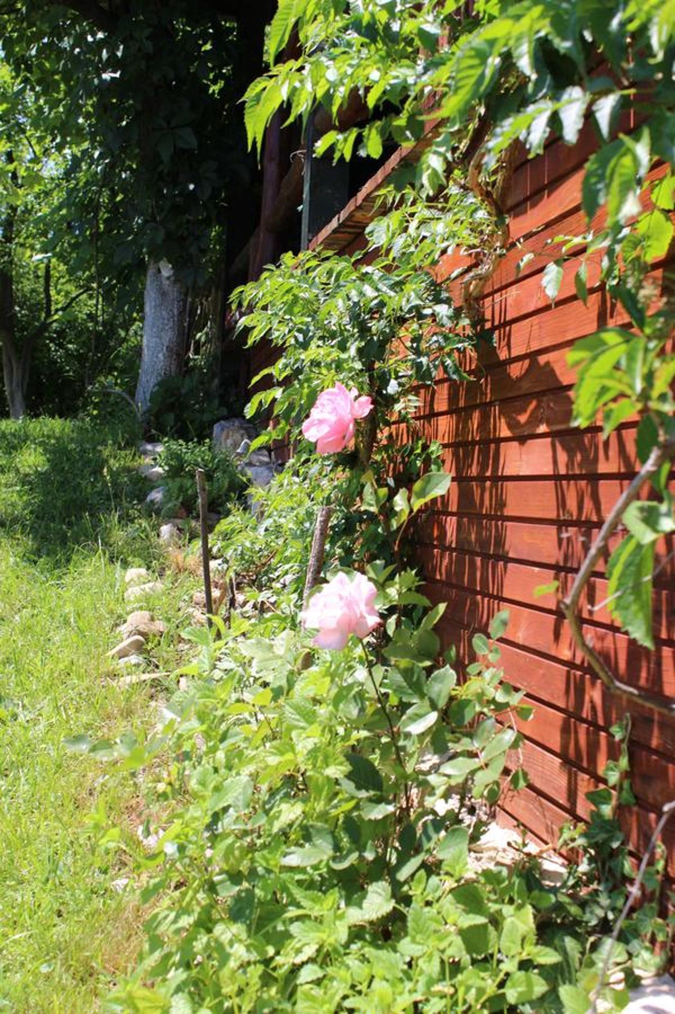 Visoko Gorani Cottage Exterior foto